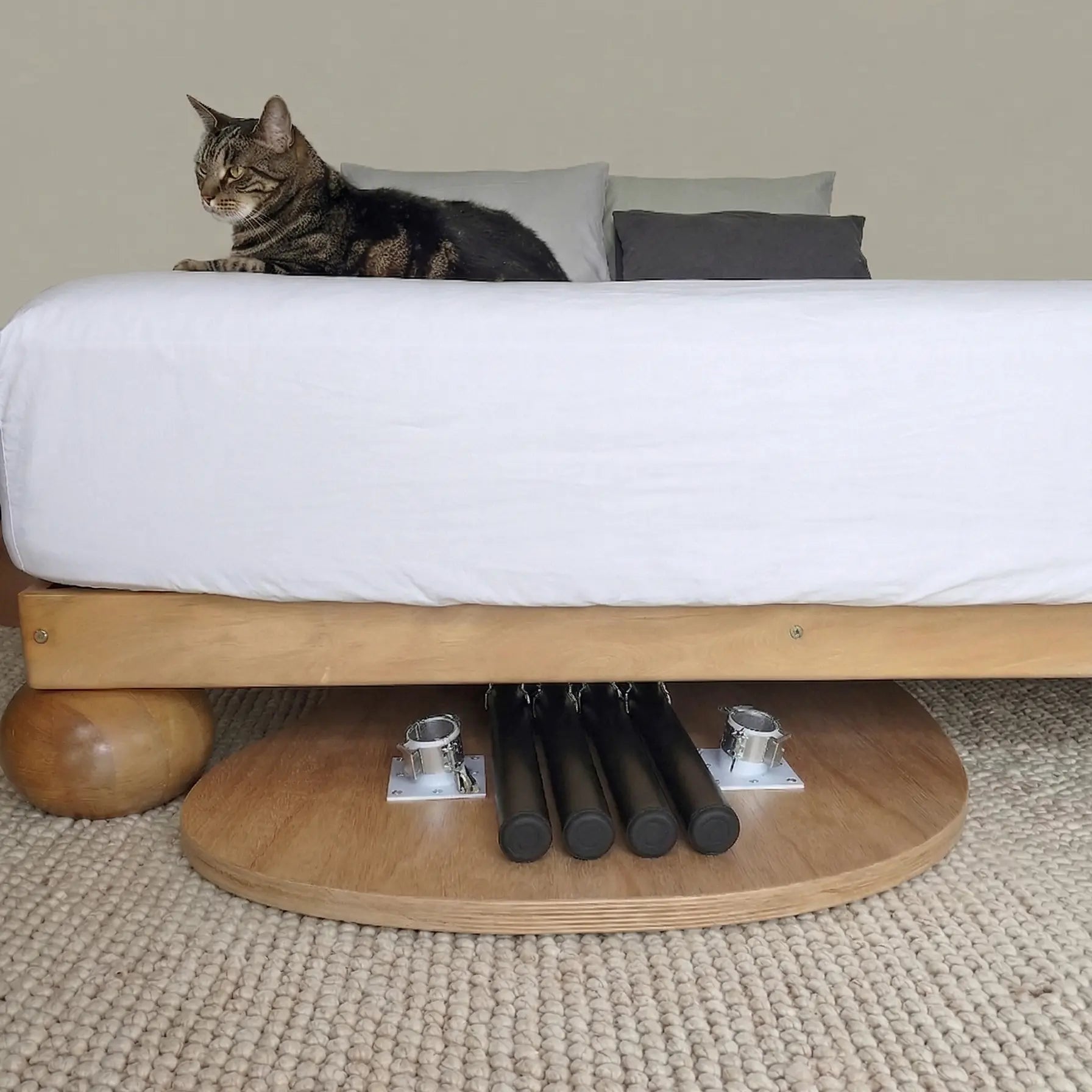 Elegant foldable standing desk with oak top