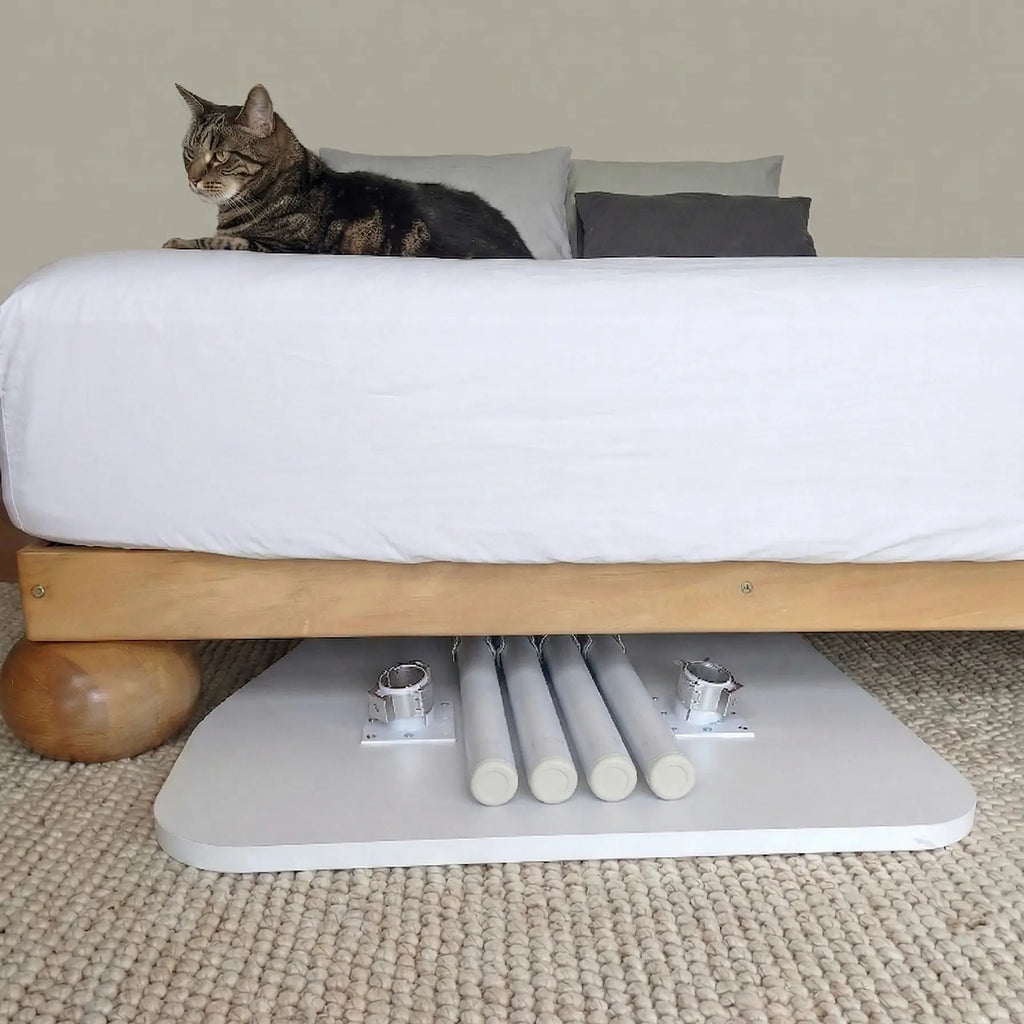 Elegant foldable standing desk with white top